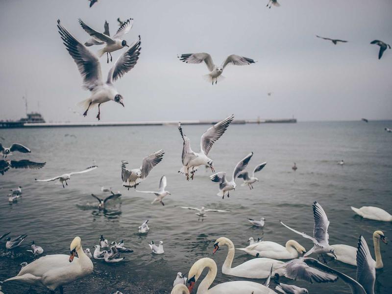 sudoku timer mode screenshot 5