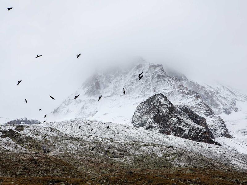 sudoku pattern learning screenshot 6